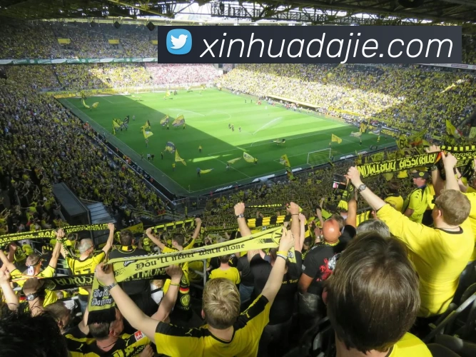 kaiyun「中国大陆」云开·门户网站 - 官方网站|登录入口服务体系