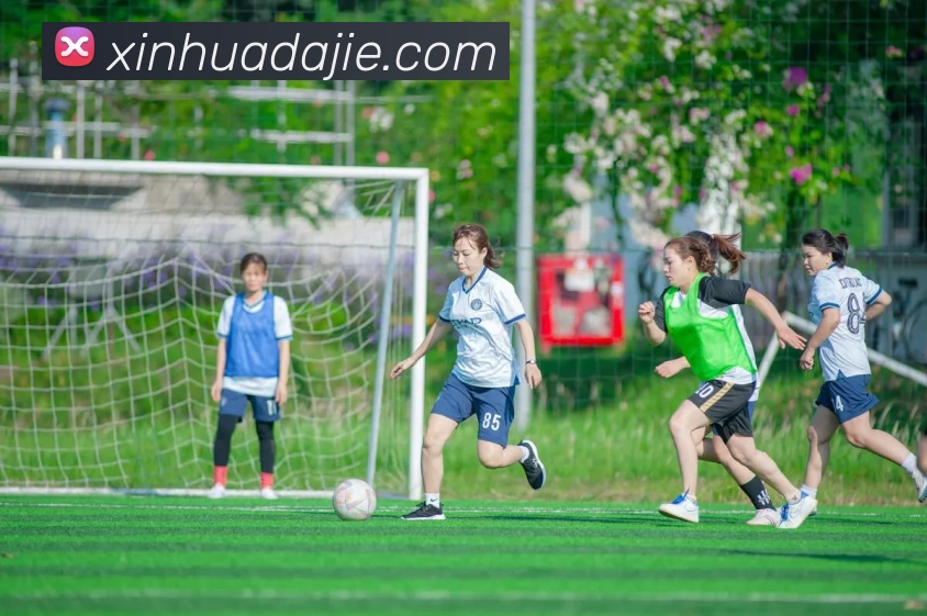 kaiyun「中国大陆」云开·门户网站 - 官方网站|登录入口APP 体育赛事宣传图